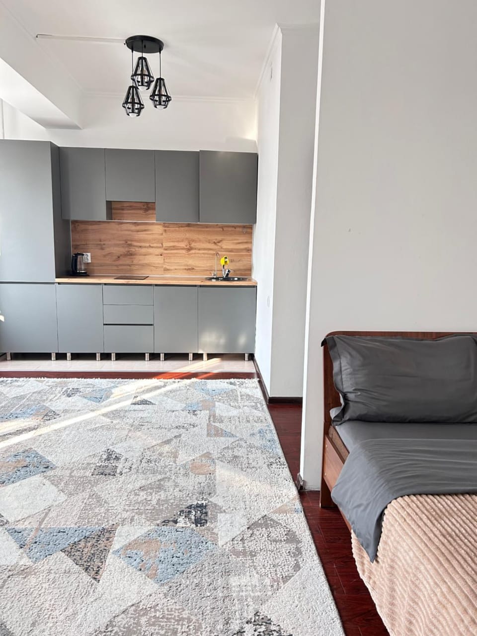 Квартира в районе Парка Горького Apartment in Almaty