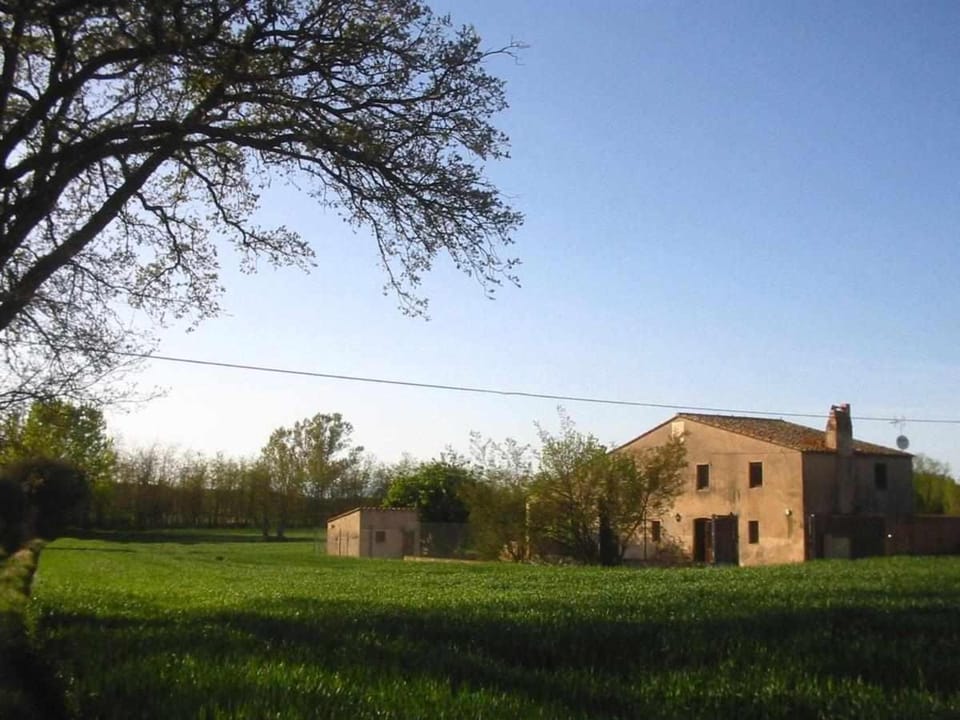 Property building, Garden, Landmark view