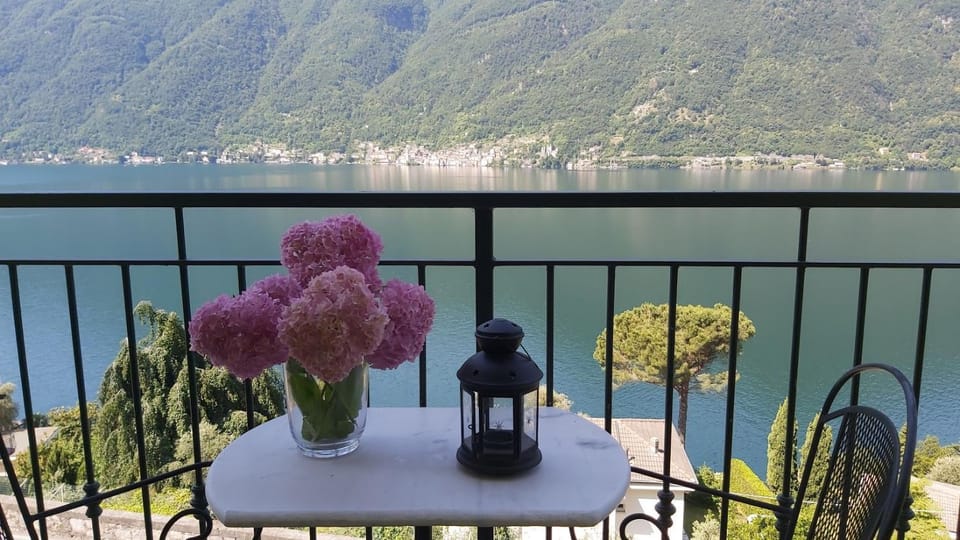 Lake view