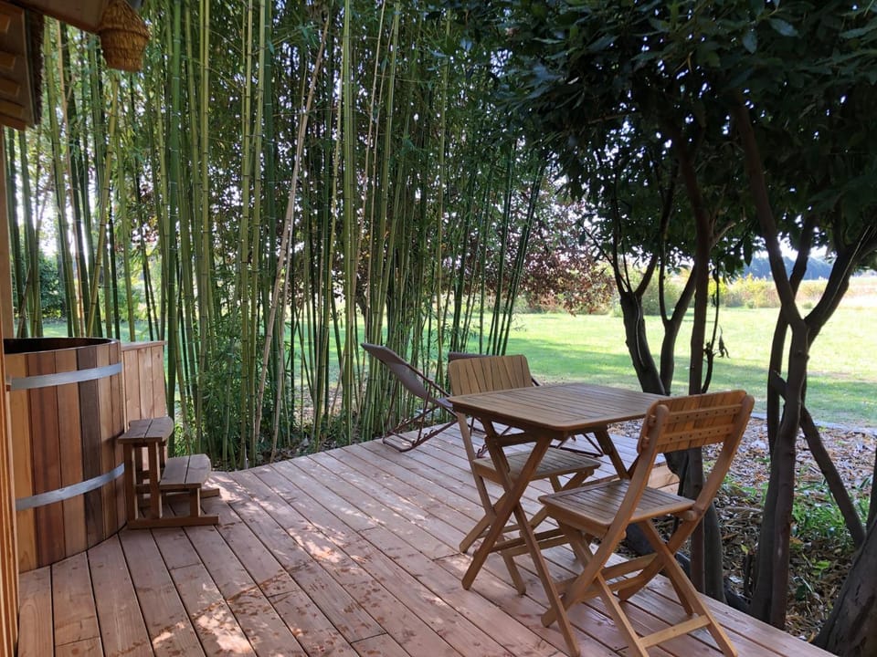 Patio, Balcony/Terrace