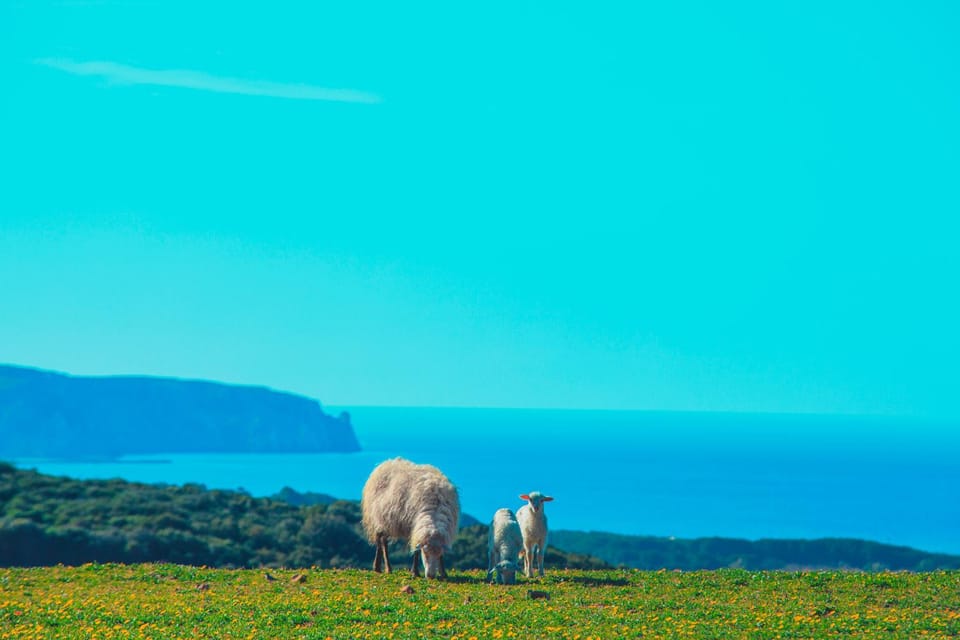 Agriturismo Il Ginepro Farm Stay in Sardinia