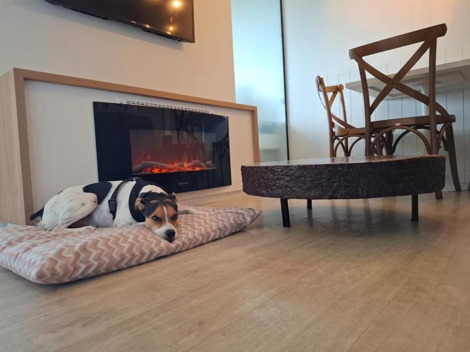 Living room, Bedroom, pet friendly, pet friendly