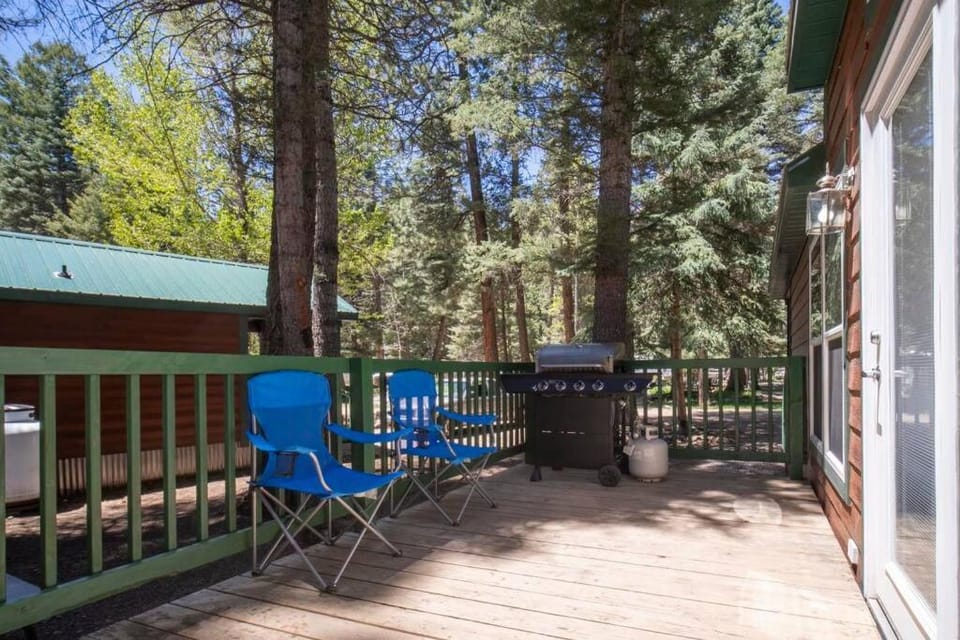 The Twilight Cabin #4 at Blue Spruce RV Park & Cabins Cabin in La Plata County