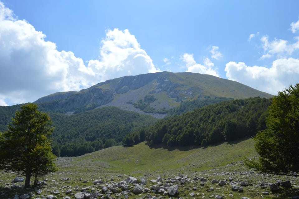 Natural landscape