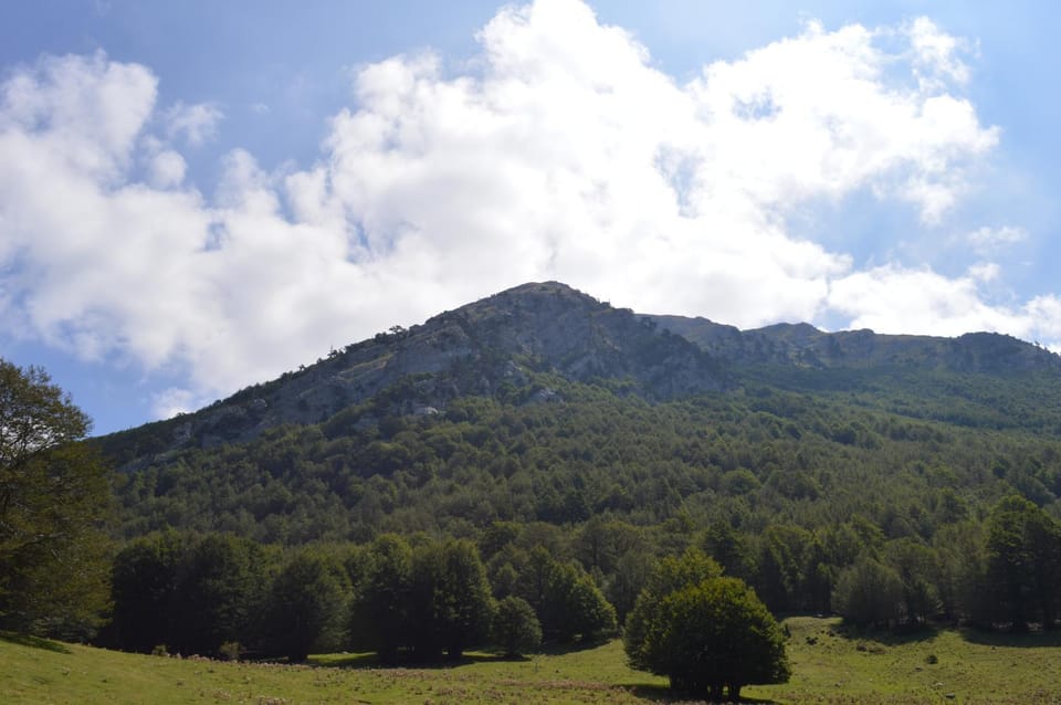 Natural landscape