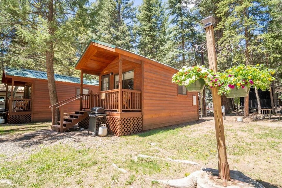The Blue Fox Cabin #8 at Blue Spruce RV Park & Cabins Cabin in La Plata County