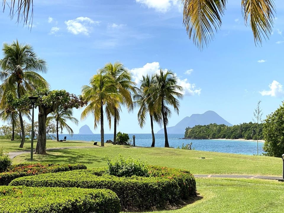 Garden, Beach, Garden view