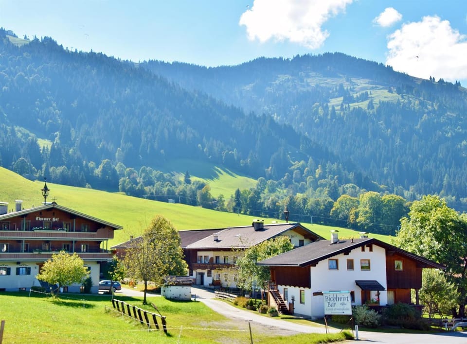 Haus Barbara Apartment in Salzburgerland