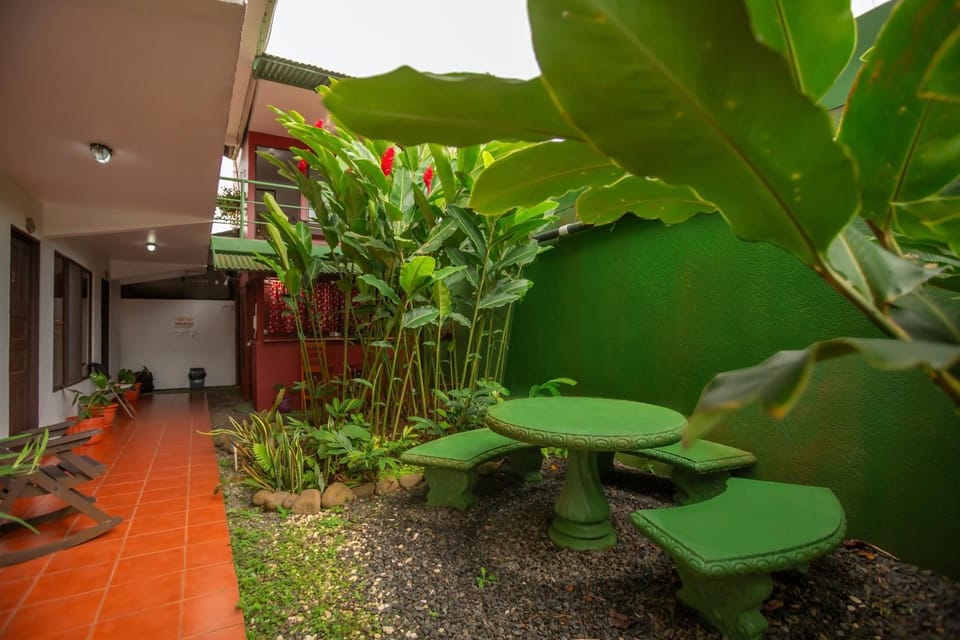 Patio, Garden, Garden view
