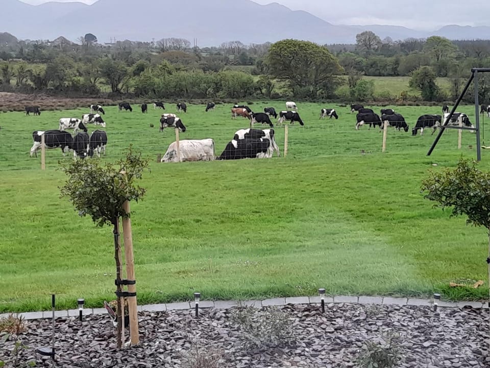 Inch View Lodge Country House in County Kerry