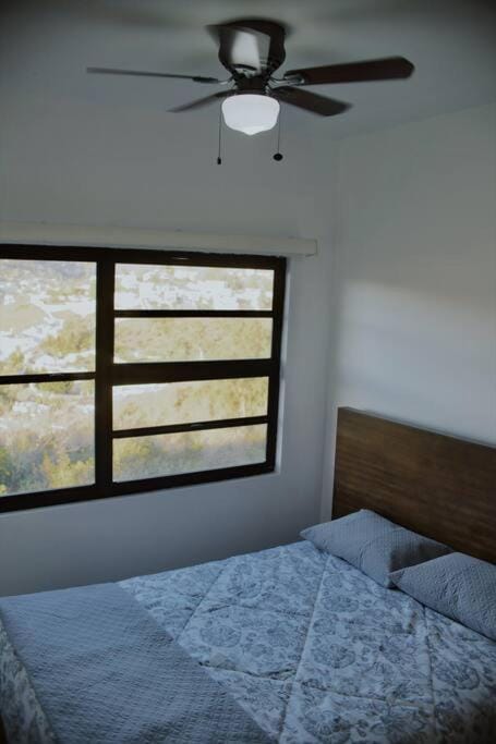 Bed, Photo of the whole room, Bedroom, fireplace
