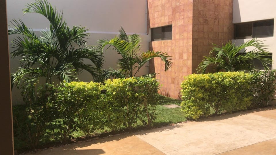 Garden view