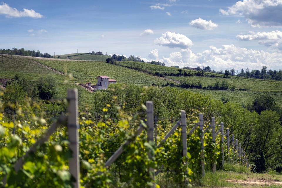 I Ciabot di Monforte Apartment in Liguria