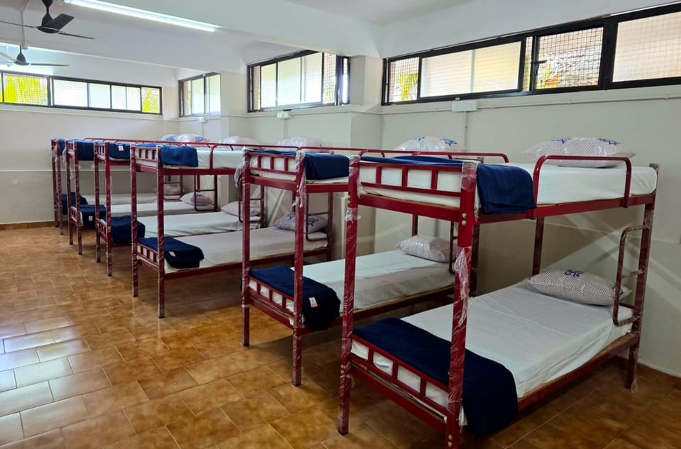 bunk bed