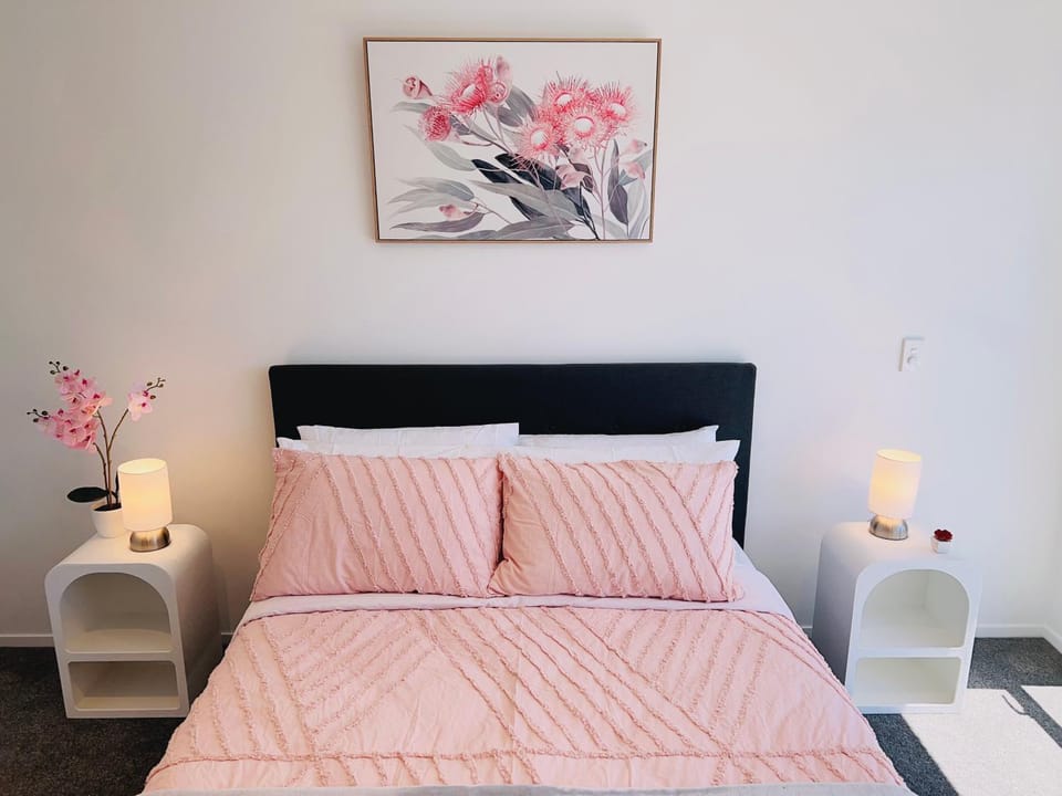 Walking Distance to Riverside Market & Hospital Apartment in Christchurch