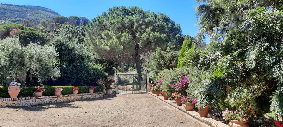 Spring, Day, Natural landscape, Garden, Garden, Garden view, Garden view, Mountain view