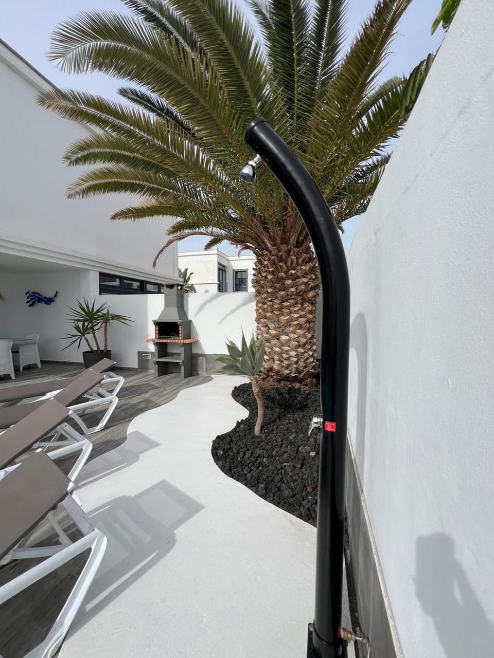 Patio, Garden, Garden view, sunbed