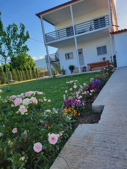 Property building, Spring, Garden, Garden view