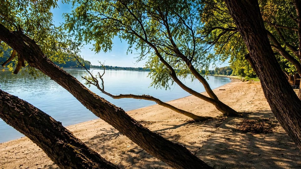 Neighbourhood, Beach