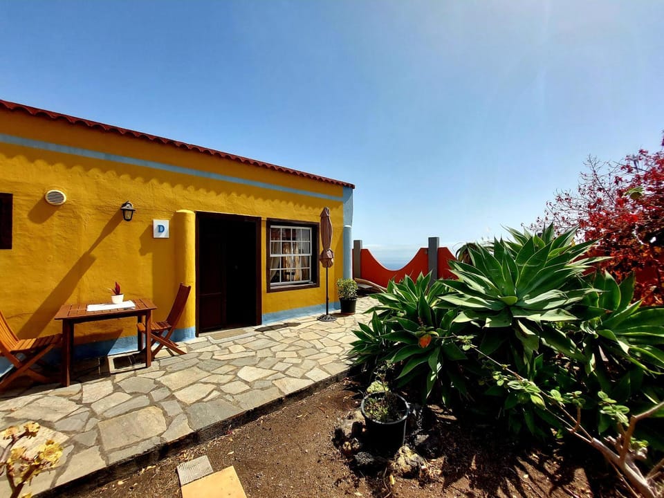 Property building, Patio, Garden, Garden view
