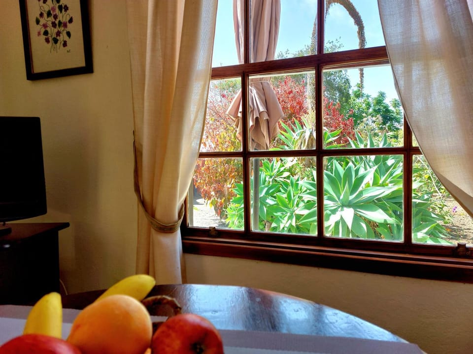 TV and multimedia, Garden view