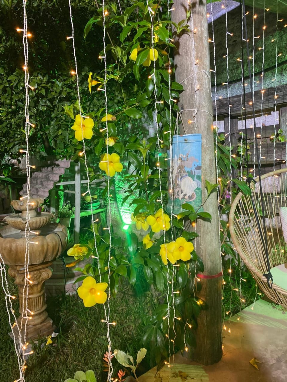 Garden view