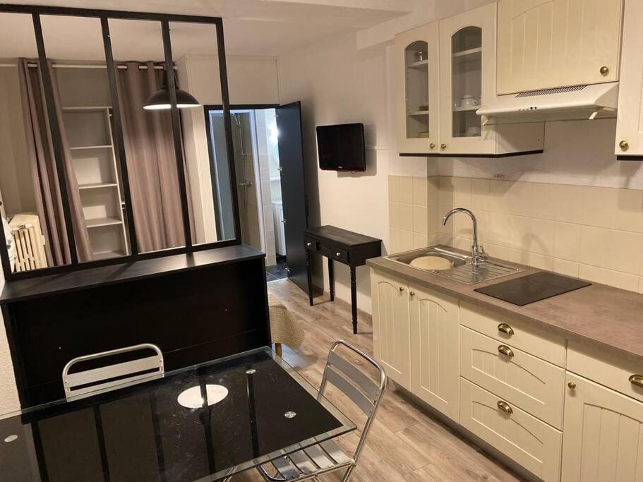 Studio AIX LES BAINS Apartment in Aix-les-Bains