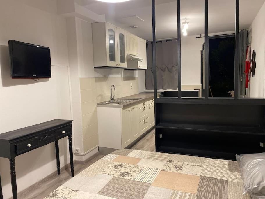 Studio AIX LES BAINS Apartment in Aix-les-Bains
