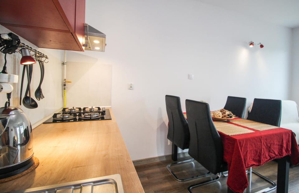Apartament Lublin Stare Miasto "Wild Cat II" FREE PARKING Apartment in Masovian Voivodeship