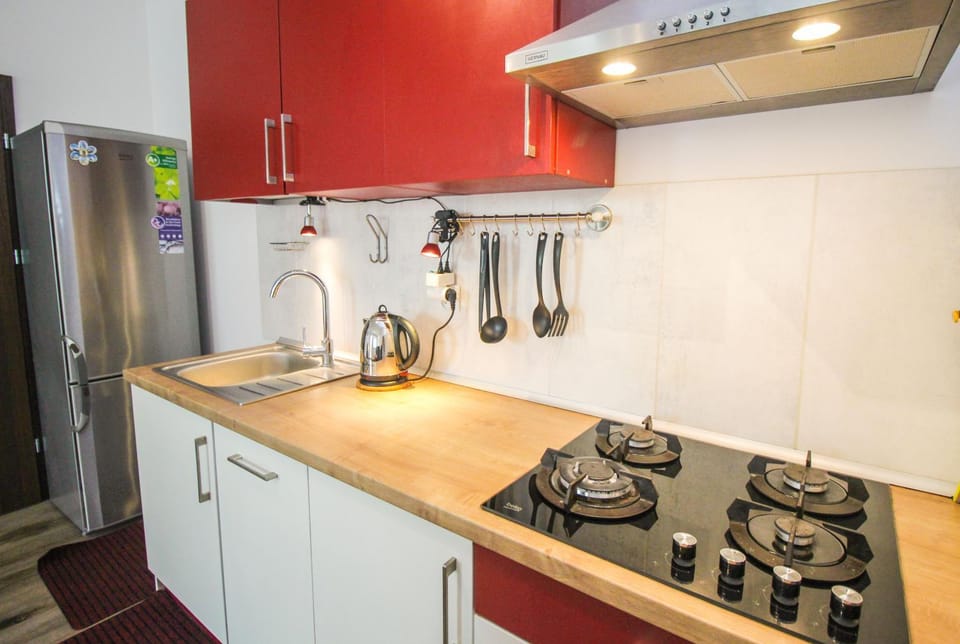Apartament Lublin Stare Miasto "Wild Cat II" FREE PARKING Apartment in Masovian Voivodeship