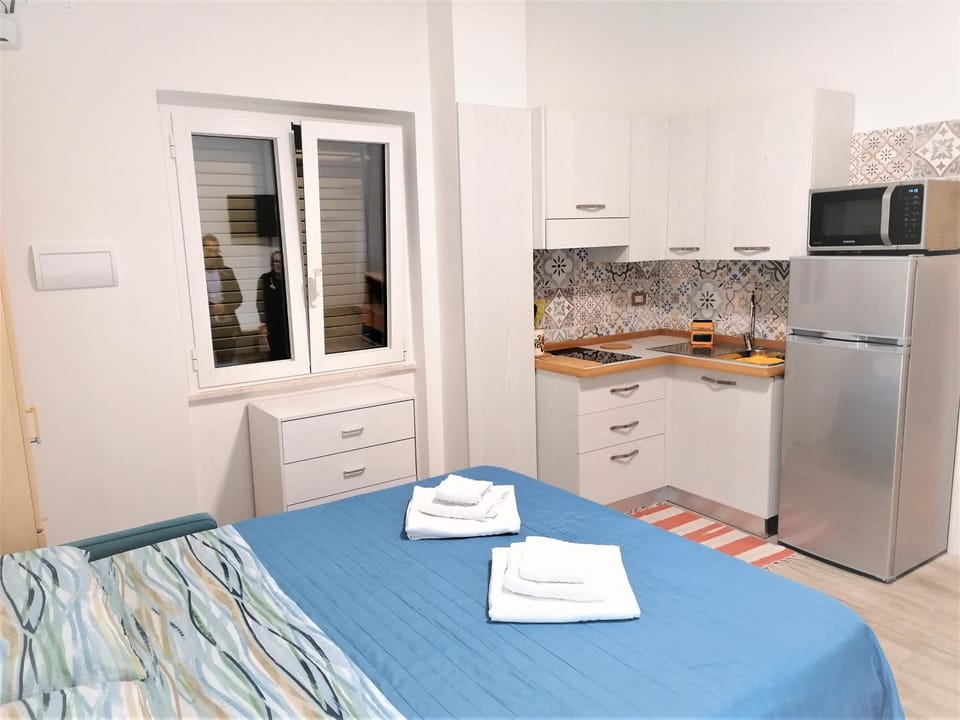 Bed, Kitchen or kitchenette, Photo of the whole room, minibar, stove