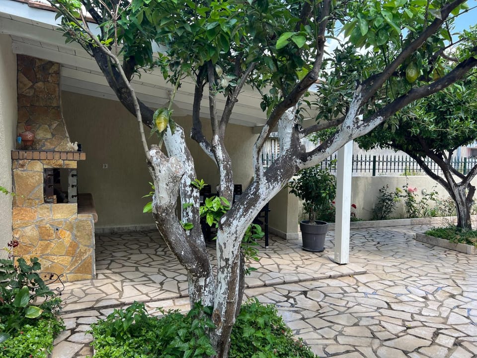 BBQ facilities, Garden
