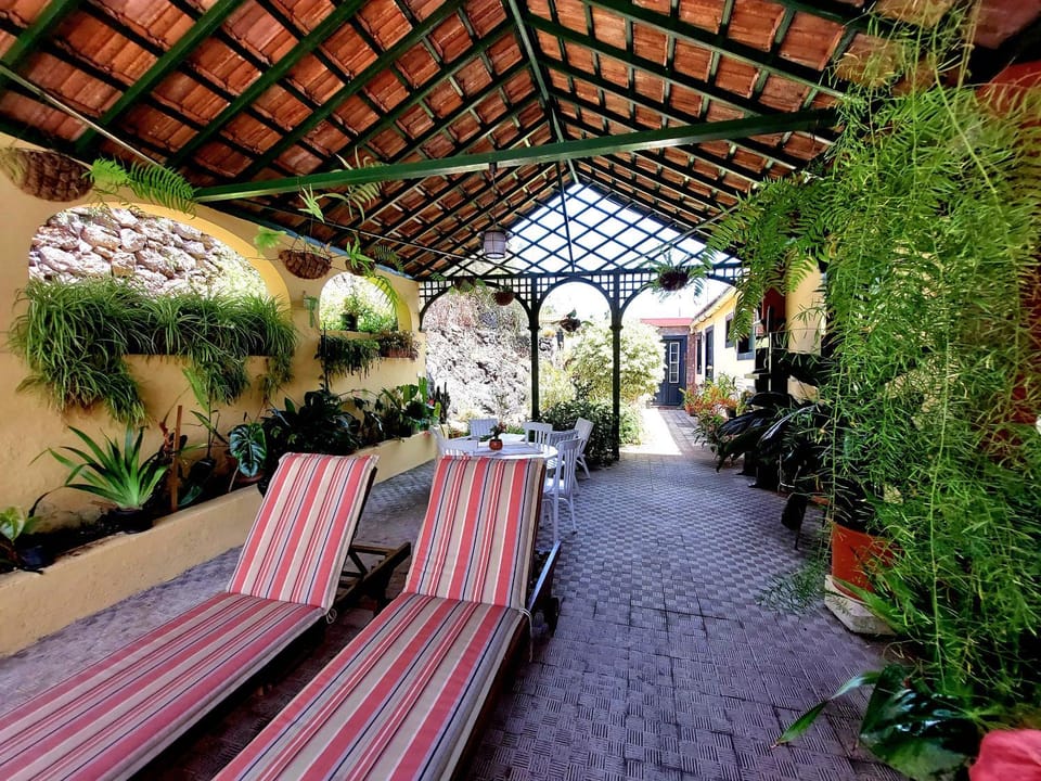 Patio, Garden, Inner courtyard view, sunbed