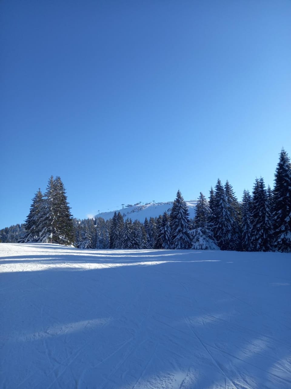 Day, Natural landscape, Winter
