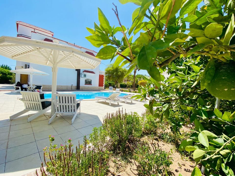 Day, Pool view, Swimming pool, Swimming pool
