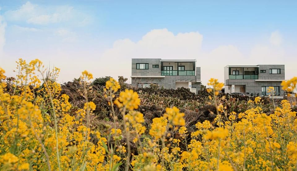 Homechee Poolvilla House in South Korea