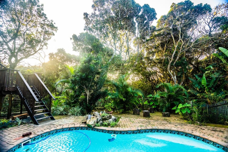 Garden, Pool view, Swimming pool