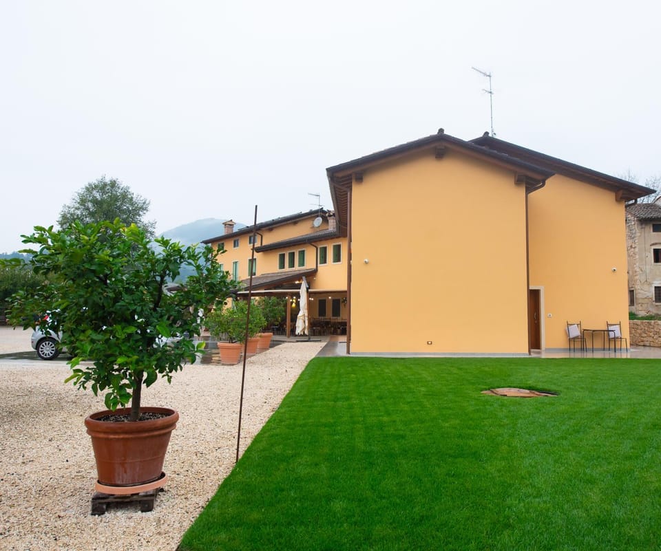 Day, Natural landscape, Garden