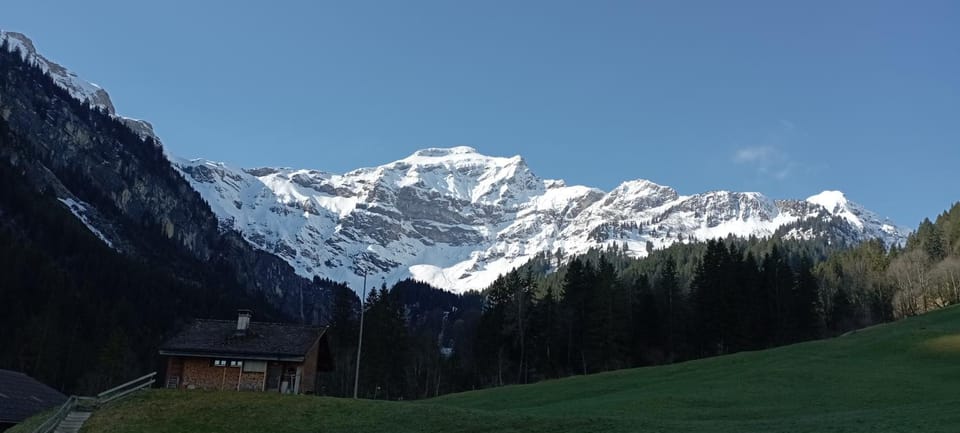 Mountain view