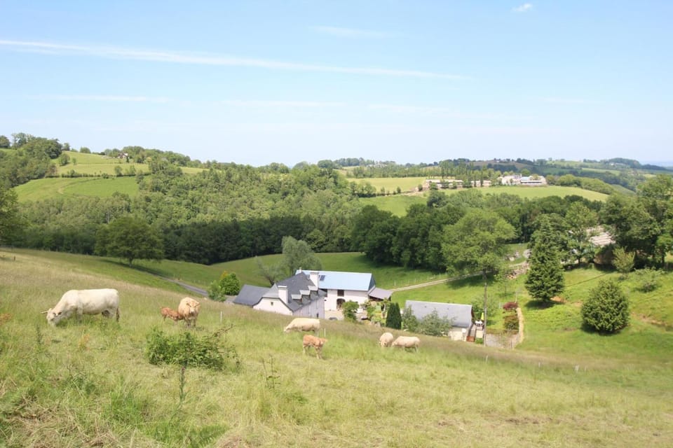 Chez rechou 1 House in Nouvelle-Aquitaine