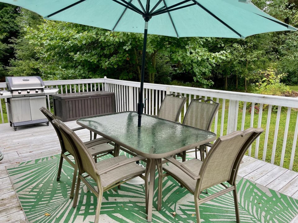 Patio, BBQ facilities