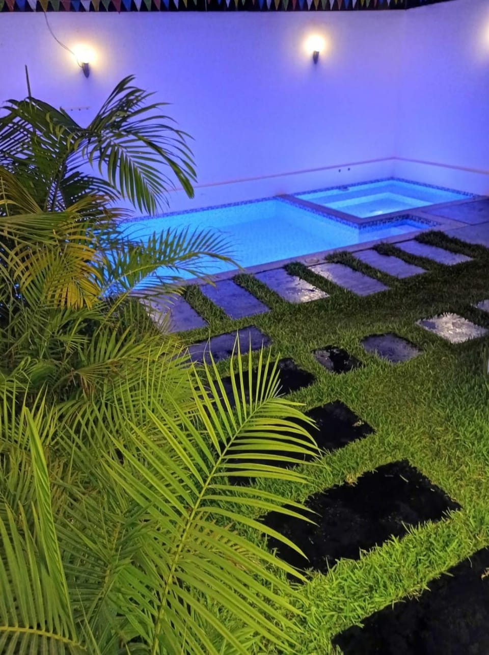 Night, Garden, Garden view, Pool view, Swimming pool, sunbed