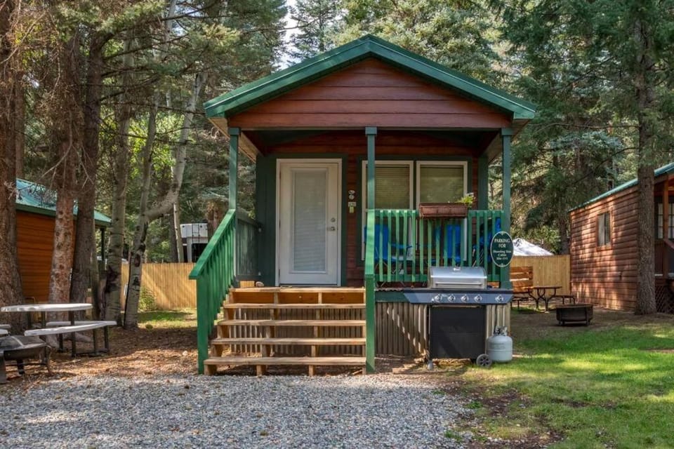 The Shooting Star Cabin #11 at Blue Spruce RV Park & Cabins Cabin in La Plata County