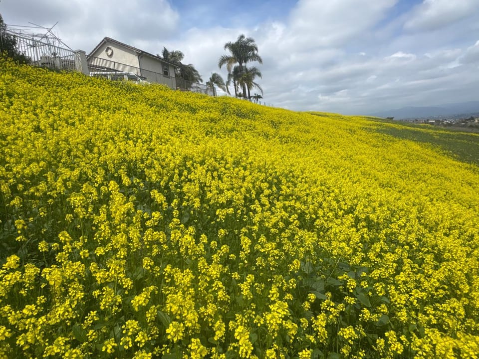 AB&B suite Vacation rental in Chino Hills