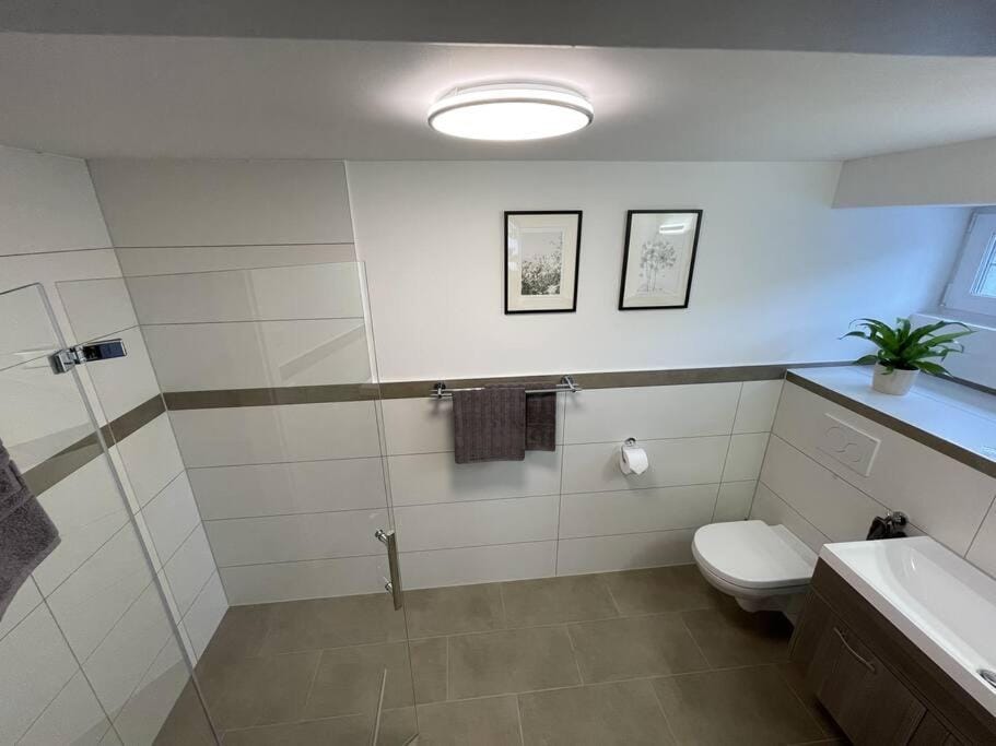 Shower, Toilet, Bathroom