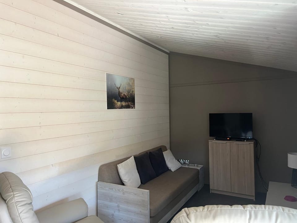 Le Chalet de la Folie Chalet in Vosges