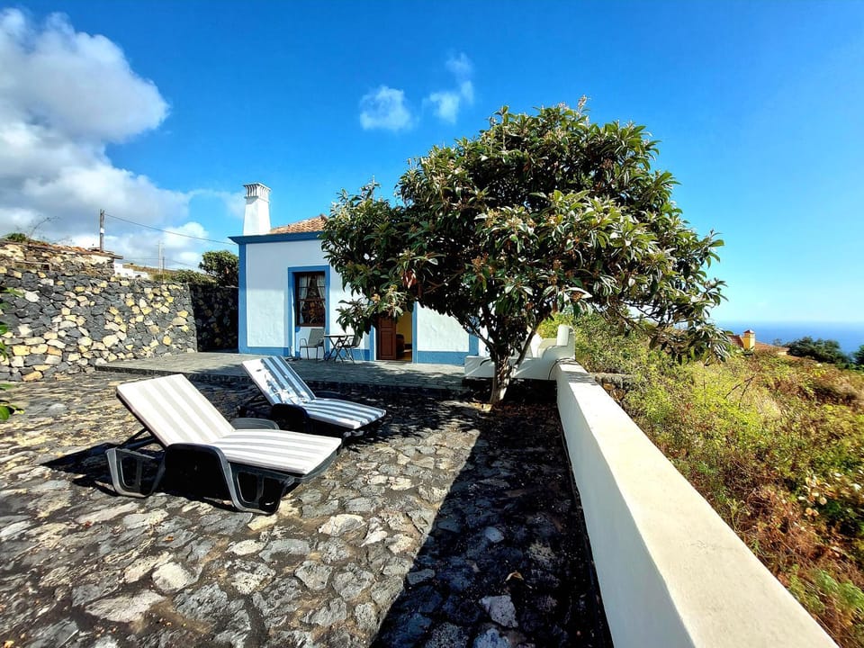Patio, Balcony/Terrace, sunbed