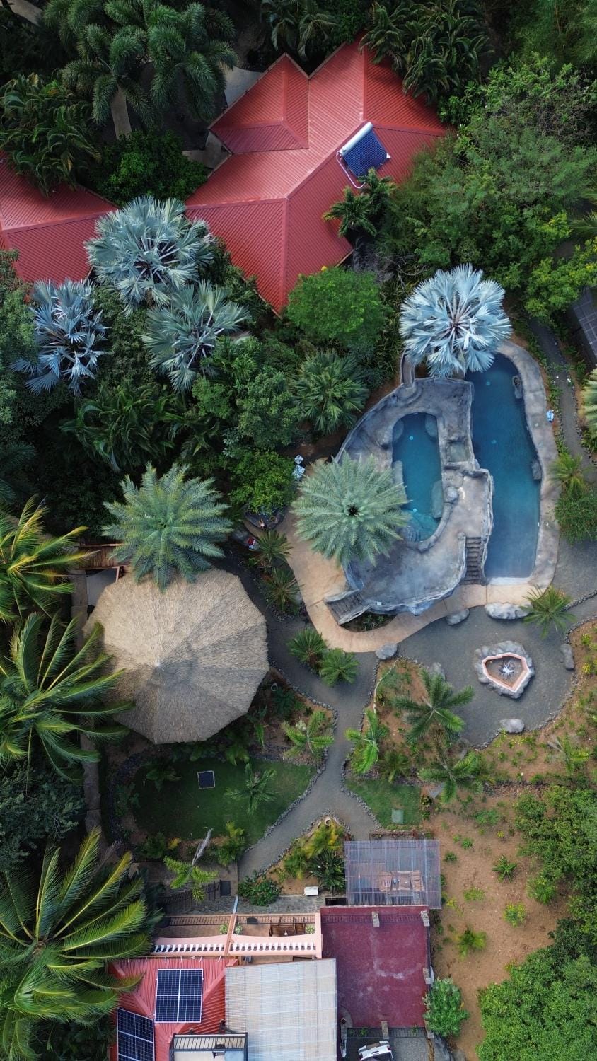 Garden, Garden view, Pool view, Swimming pool