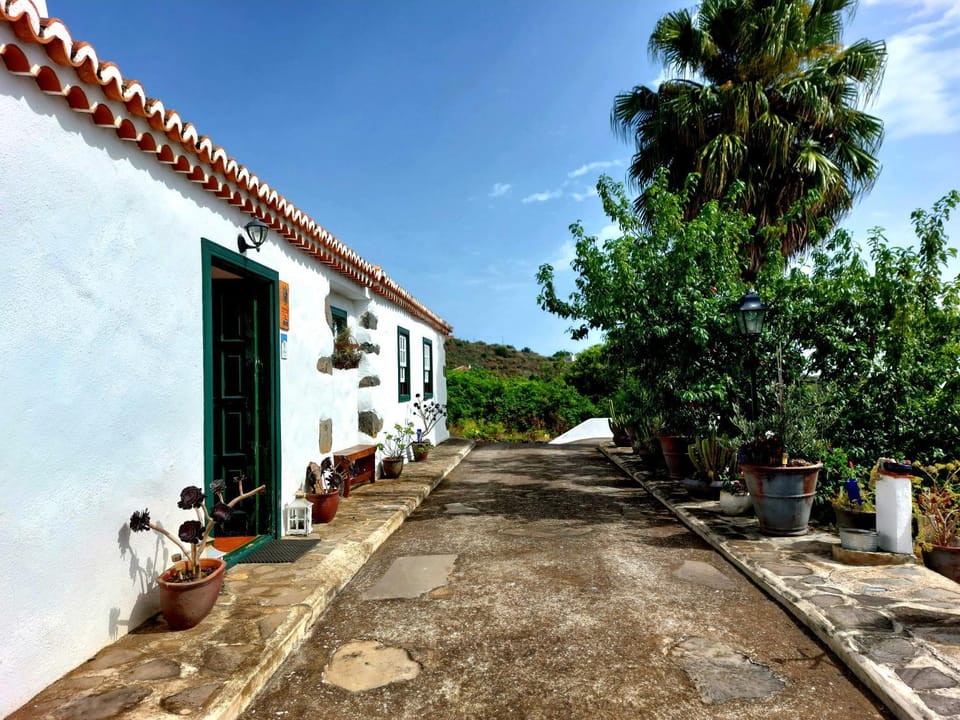 Property building, Day, Garden, Garden view