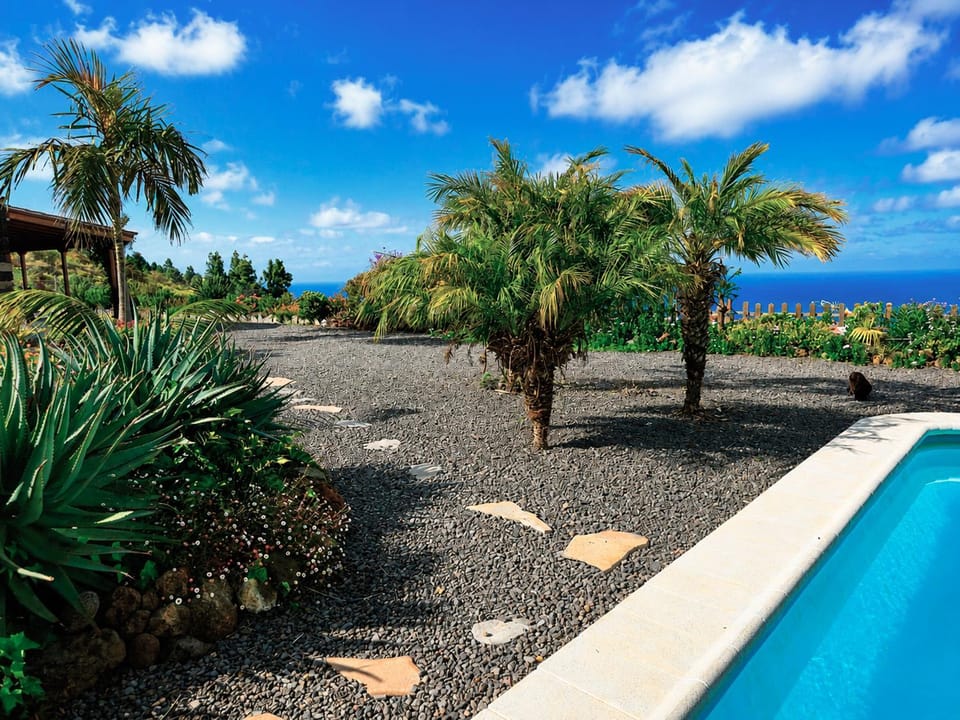 Garden view, Swimming pool